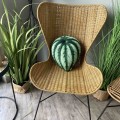 Poduszka liść Peperomia Watermelon Poduszkownia