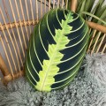Poduszka liść Maranta Lemon Lime