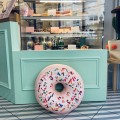 donut pink pillow.jpg