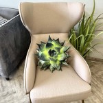 Poduszka duży Aloes sukulent