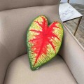 Poduszka liść Caladium Bicolor