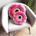 Zestaw poduszek kwiatów Gerbera