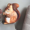 wiewiorka poduszka.jpg