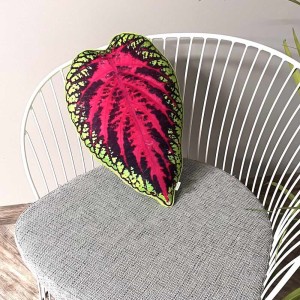 Poduszka Liść Koleus Coleus