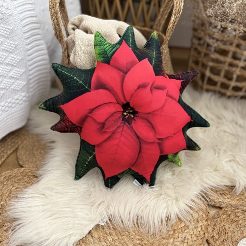 czerwona gwiazda betlejemska swiateczna