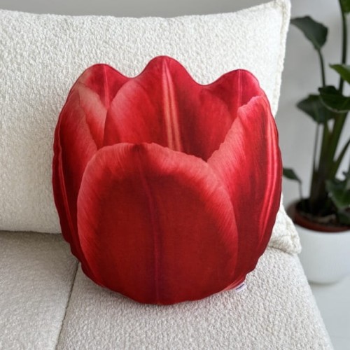 poduszka czerwony tulipan