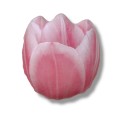 Poduszka mały tulipan