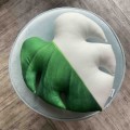 Poduszka liść Monstera Half Moon Poduszkownia