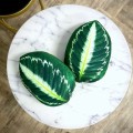 Poduszki liście Calathea Kalatea Poduszkownia sklep