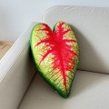 Poduszka Liść Caladium bicolor