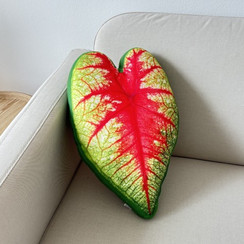 Poduszka Liść Caladium bicolor