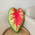 poduszka Liść Caladium