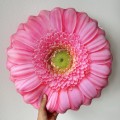 poduszka kwiat Gerbera duża