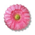 poduszka kwiat Gerbera duża