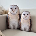 zestaw poduszki Sowy Płomykówki