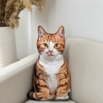 Poduszka dekoracyjna Kot rudy pręgowany z białymi łatkami