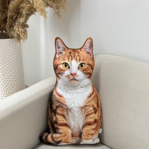 Poduszka dekoracyjna Kot rudy pręgowany z białymi łatkami