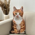 Poduszka dekoracyjna rudy Kot pręgowany z łatkami