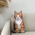 Poduszka dekoracyjna rudy Kot pręgowany