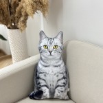 Poduszka dekoracyjna Kot domowy pręgowany srebrzysty jasny szary