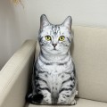 Poduszka w kształcie Kota jasnoszary