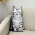 Poduszka dekoracyjna Kot jasnoszary pręgowany