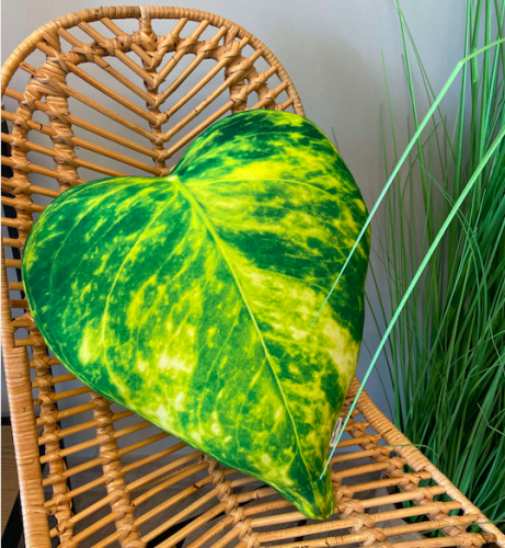 Poduszkownia Poduszka Liść Epipremnum