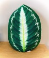 poduszka liść Calathea medallion Poduszkownia